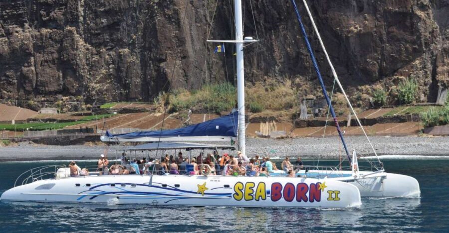 Funchal: Dolphin and Whale Watching Catamaran Cruise - Responsible Dolphin and Whale Watching: What You Can Feel on Deck