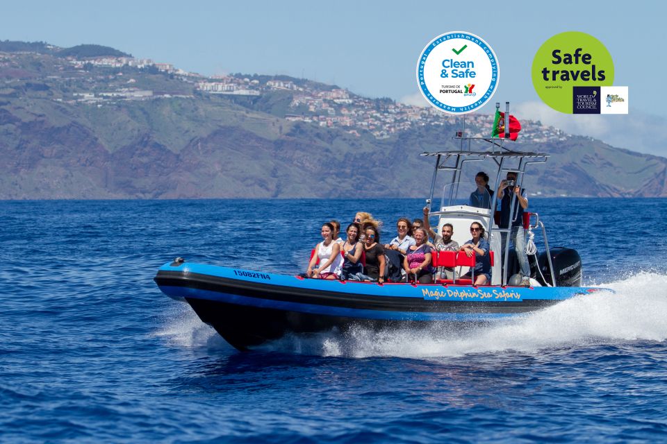 Funchal: Dolphin and Whale Watching Cruise - Entering the Sea Safari from Magic Dolphin