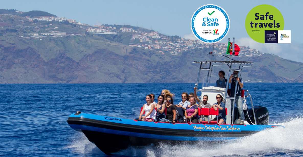 Funchal: Dolphin and Whale Watching Cruise - Sea Safari’s speed and comfort: dual 250hp engines and 360° views
