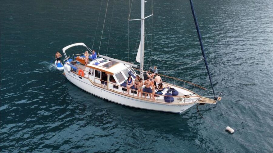 Funchal: Dolphin and Whale Watching Sailing Trip - Getting to Praça do Povo and Kiosk Gavião Madeira (Cais 8)