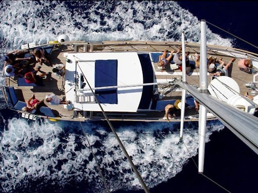 Funchal: Dolphin and Whale Watching Sailing Trip - Who this 3-hour Funchal sailing trip is best for