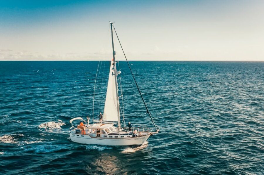 Funchal: Dolphin and Whale Watching Sailing Trip - Should you book Gaviao Madeira’s dolphin and whale sailing trip?