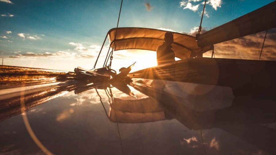 Funchal: Dolphin and Whale Watching Sunset Sailing Tour - Key highlights and what matters