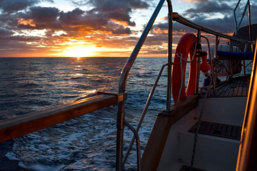 Funchal: Dolphin and Whale Watching Sunset Sailing Tour - First impressions in Funchal: where the tour starts