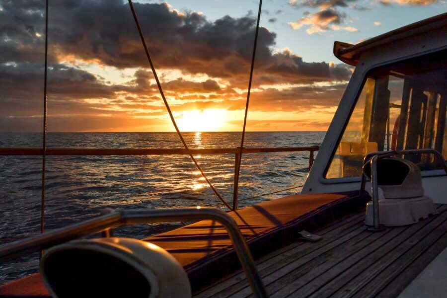 Funchal: Dolphin and Whale Watching Sunset Sailing Tour - Cabo Girão swim and snorkeling: the stop that makes the tour feel complete