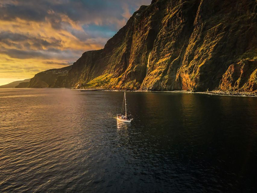 Funchal: Dolphin and Whale Watching Sunset Sailing Tour - Dolphin and whale watching: what you can realistically expect