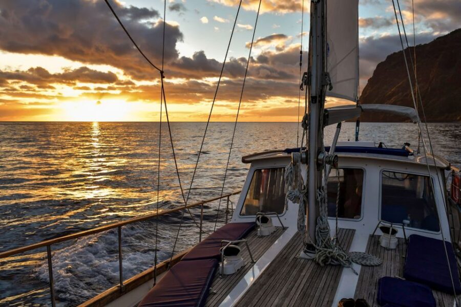 Funchal: Dolphin and Whale Watching Sunset Sailing Tour - Sunset sailing with open bar: the part you will feel later