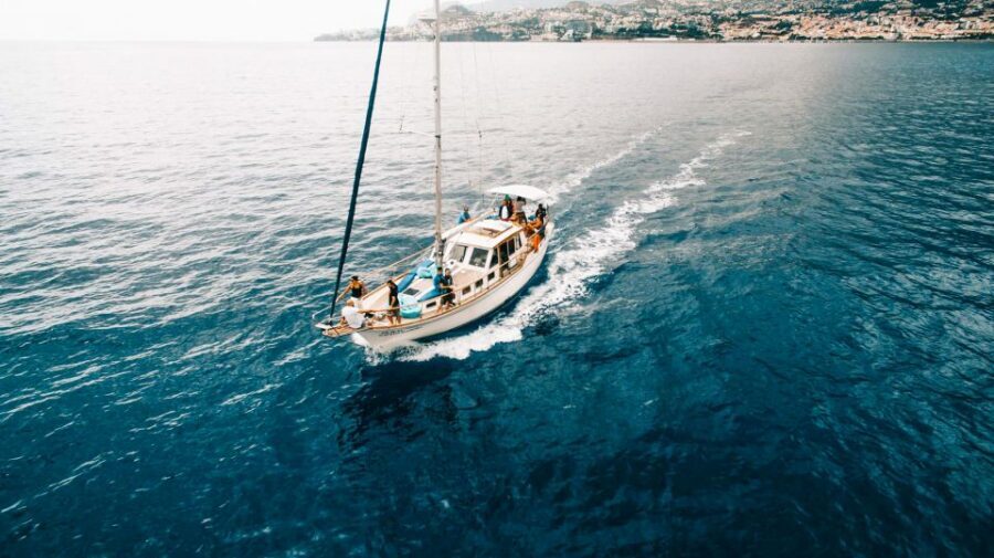 Funchal: Dolphin and Whale Watching Sunset Sailing Tour - Price and value: is $63 worth it?