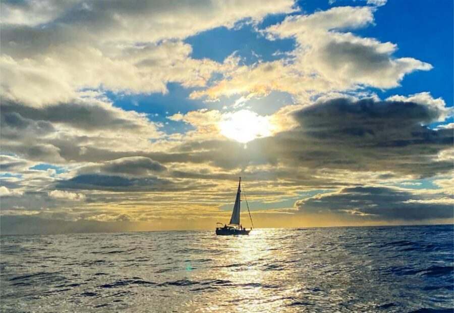 Funchal: Dolphin and Whale Watching Sunset Sailing Tour - Should you book the Funchal dolphin and whale sunset sailing tour?