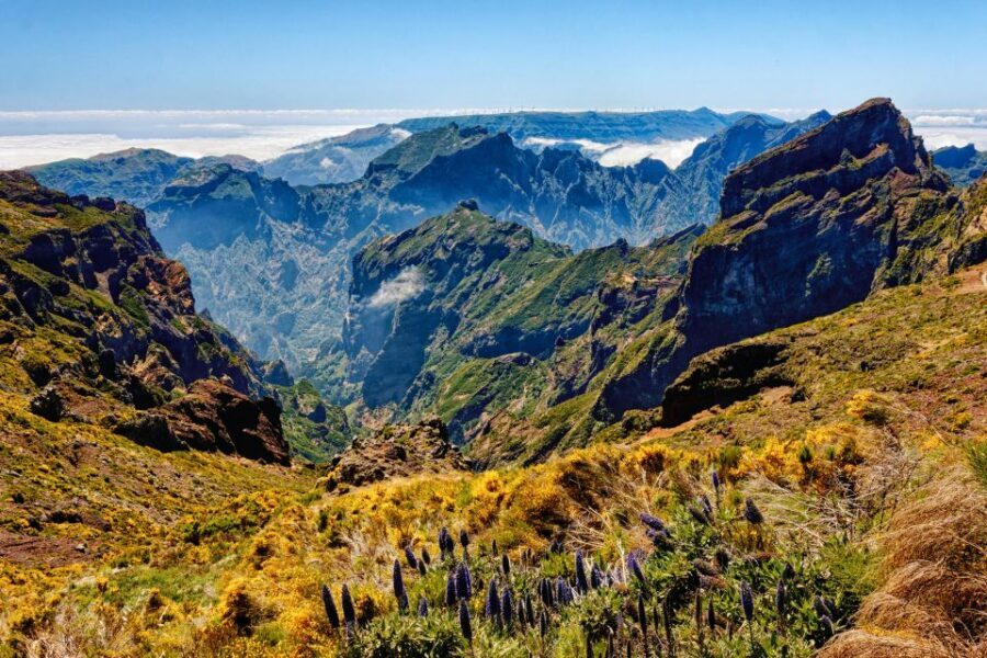 Funchal: East Madeira Island Guided Tour & Laurissilva Walk - Key Things I’d Mark on Your Must-Do List