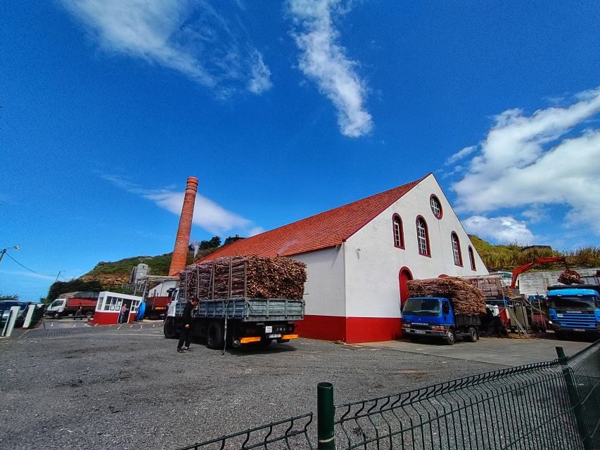 Funchal: East Madeira Island Guided Tour & Laurissilva Walk - Santana’s Thatched Houses: Culture You Can See in Minutes