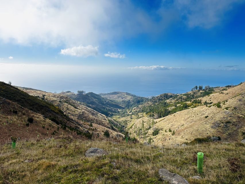 Funchal: East Madeira Island Guided Tour & Laurissilva Walk - Price and Value: What You’re Paying For in Real Terms