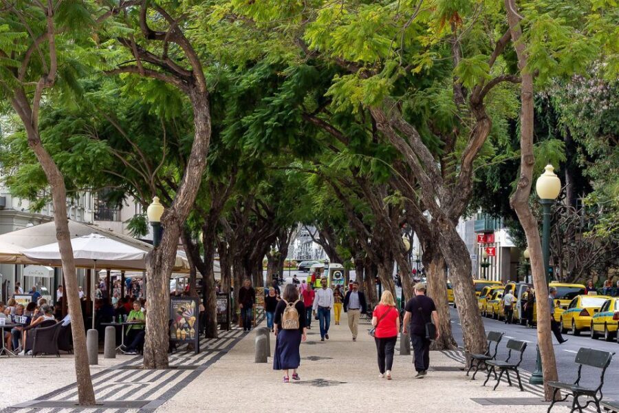 Funchal: Old Town Walking Tour - Farmers’ Market walkthrough: what to look for and what to ask