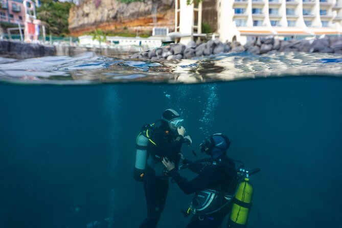 Funchal: Scuba Diving Experience for Beginners - Atlantic Marine Life You Can Actually Spot