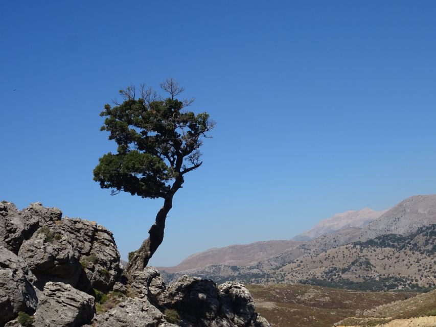 Georgioupolis Full-Day Land Rover Safari Experience - Price and value: $92 for a full day of 4x4, food, and tastings