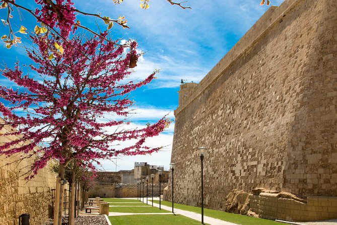 Gozo & Comino Islands, Blue Lagoon & Seacaves Tour - Gozo’s Victoria without a guide: Citadel and St George Basilica