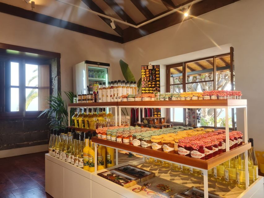 Gran Canaria: Banana World Guided Tour & Tasting - Walking the farmland: 7,000 banana plants, 150 avocado trees, and ocean views