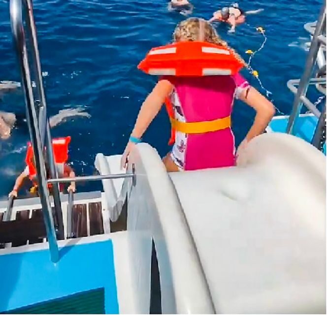 Gran Canaria: Catamaran Dolphin Watch Cruise with Snorkeling - Key highlights before you go