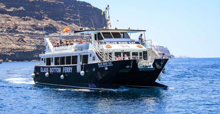 Gran Canaria: Catamaran Dolphin Watch Cruise with Snorkeling - Setting sail off Puerto Rico: how dolphin and whale watching usually plays out