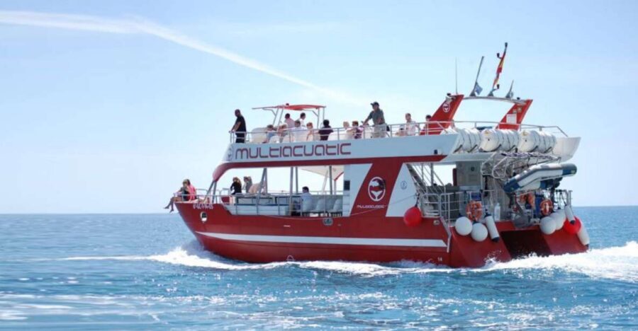 Gran Canaria: Dolphin and Whale Watching Cruise - What You’re Really Buying With a $40 Dolphin and Whale Ticket