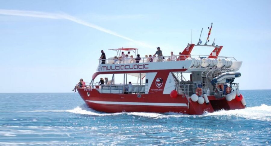 Gran Canaria: Dolphin and Whale Watching Cruise - 2.5 Hours at Sea: How the Trip Works in Real Life