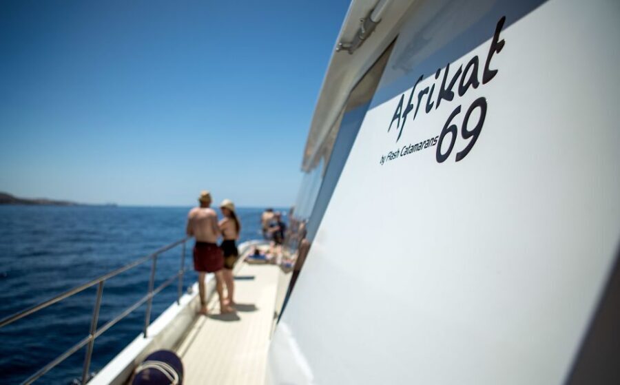Gran Canaria: Fun Catamaran Cruise with Food and Drinks - Food on board: chicken wraps that are actually filling