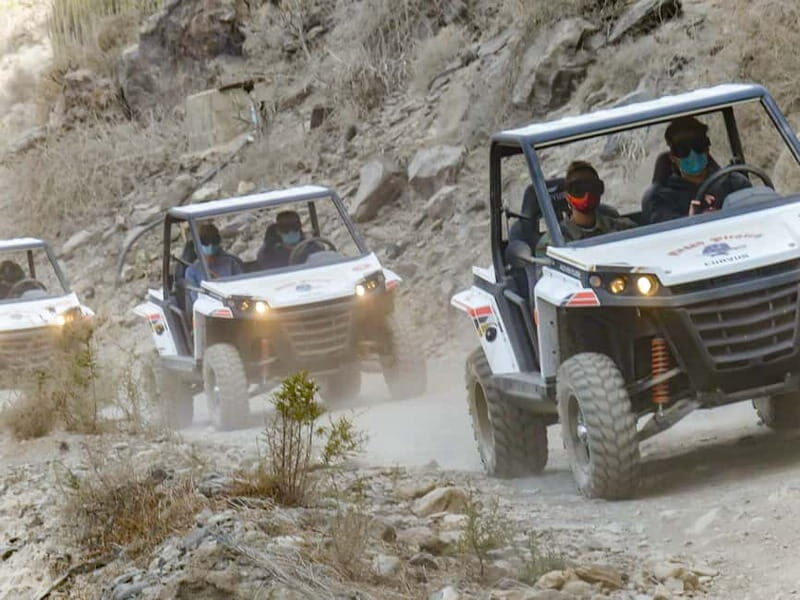 Gran Canaria Guided Buggy Tour - Key highlights you should know