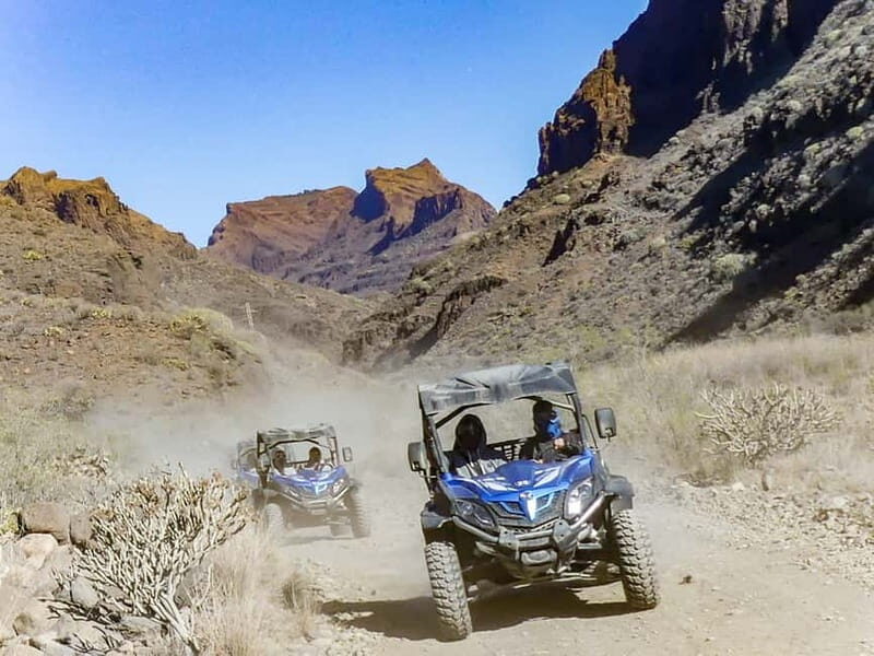 Gran Canaria Guided Buggy Tour - Price value at about $85 per person