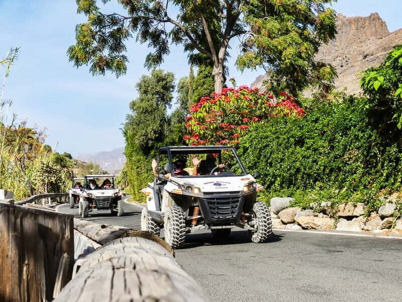 Gran Canaria Guided Buggy Tour - Fataga villages, reservoirs, and observation points