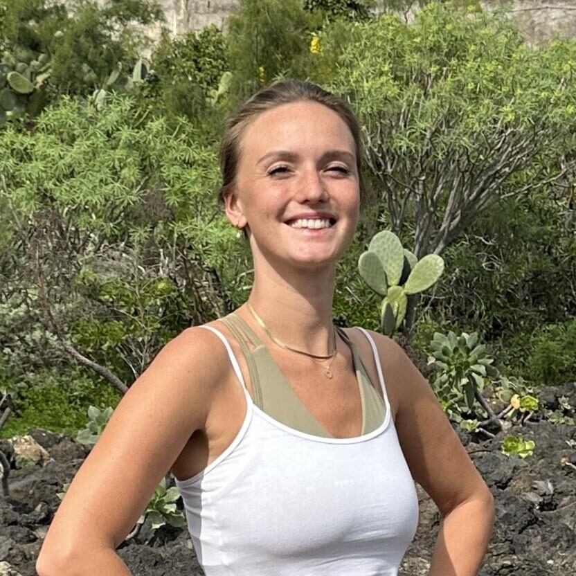 Gran Canaria: Volcano Sunset Tour and Local Food Tasting - Gran Canaria’s volcanic day feels different when you follow the story