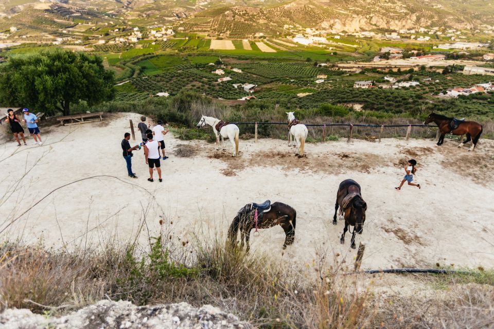Heraklion: Finikia Horse Riding Tour with Lunch or Dinner - Quick reality check: the main reason some people hesitate