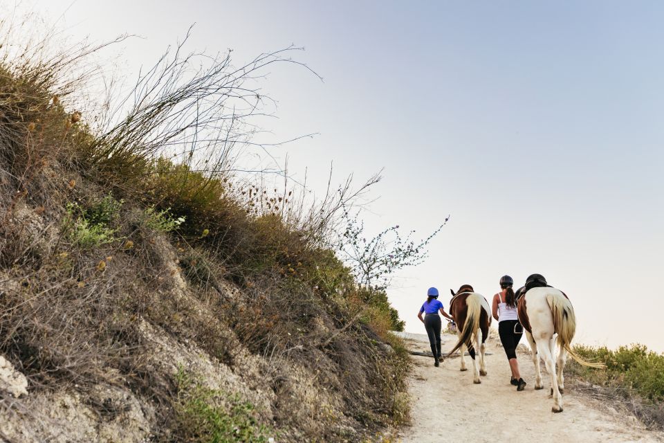 Heraklion: Finikia Horse Riding Tour with Lunch or Dinner - Morning vs. afternoon: picking the right time slot for your mood