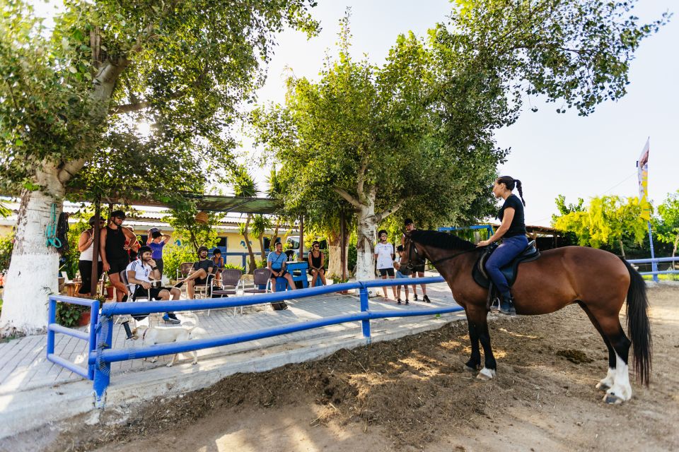 Heraklion: Finikia Horse Riding Tour with Lunch or Dinner - Practical tips so you’re comfortable (and so the ride goes smoothly)