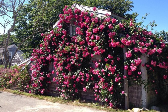 Historical Tour of Nantucket - Stop 1: Nantucket town sights, the 1881 rail line, and a Quaker cemetery