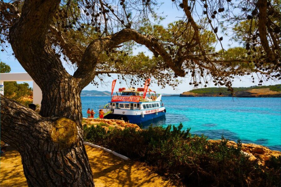 Ibiza: Beach Hopping Cruise w/ Paddleboard, Food, & Drinks - Cala Bassa and Cala Conta: Why These Docks Are the Whole Point
