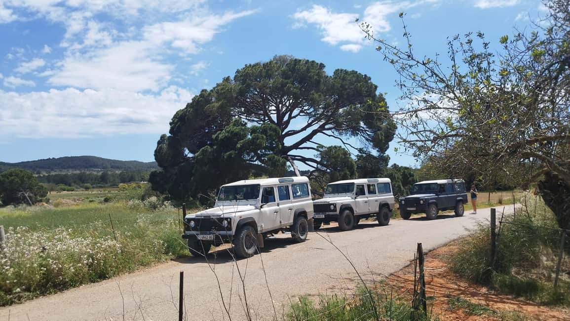 Ibiza: Jeep Safari Island Exploration - Your guide turns driving into an island lesson