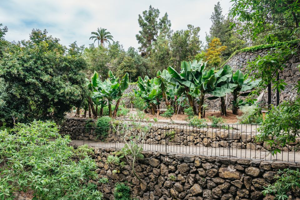 Icod de los Vinos: Dragon Tree & Botanical Garden Ticket - Should you book this ticket?