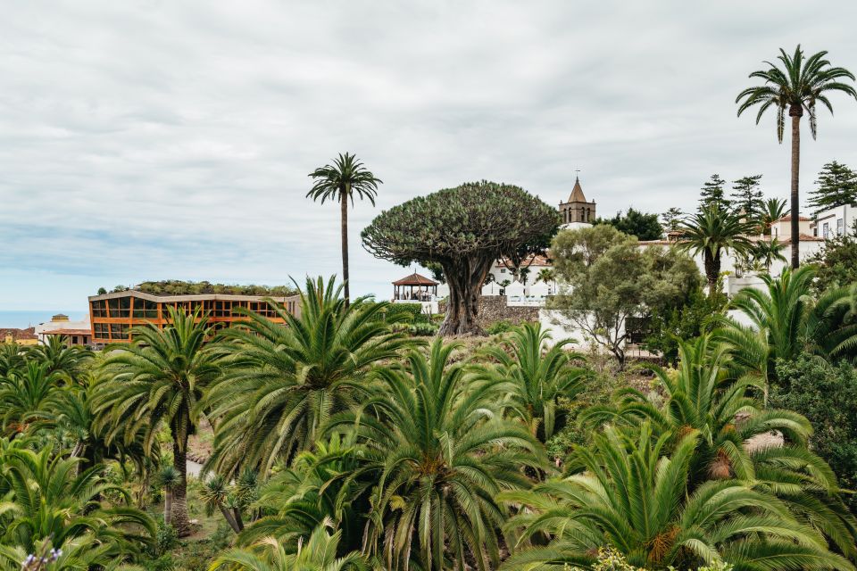 Icod de los Vinos: Dragon Tree & Botanical Garden Ticket - Orchard zone: where the garden turns practical and human