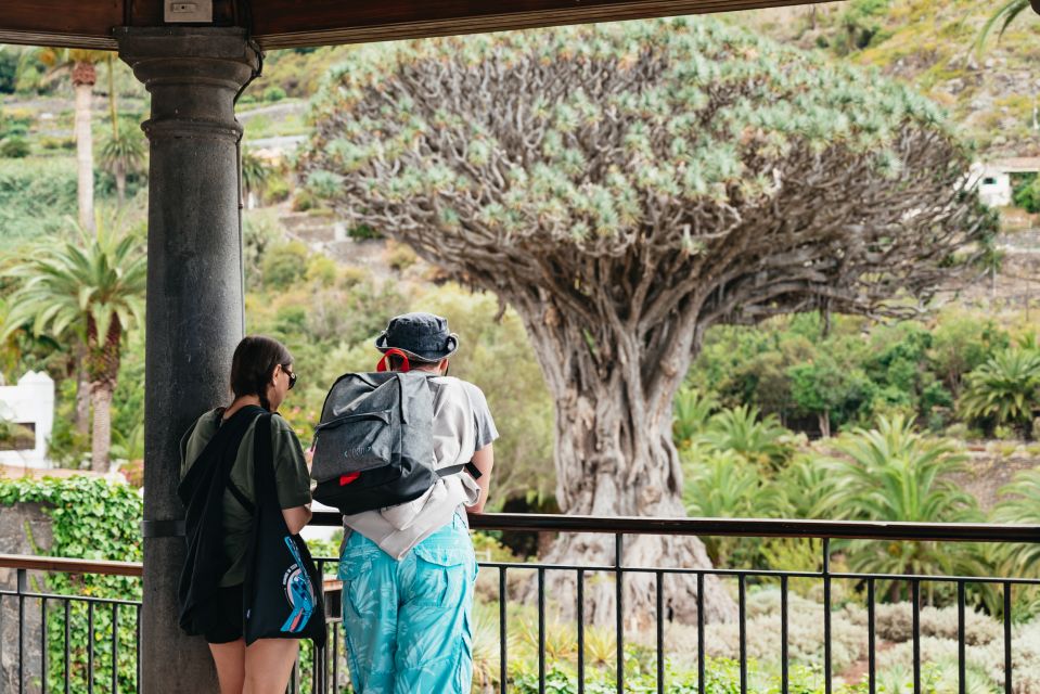 Icod de los Vinos: Dragon Tree & Botanical Garden Ticket - Price and value: why this ticket makes sense