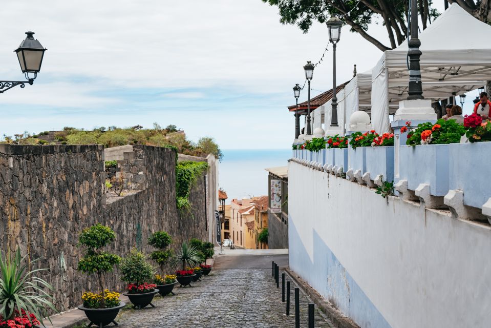 Icod de los Vinos: Dragon Tree & Botanical Garden Ticket - Who should book this Drago milenario and garden ticket