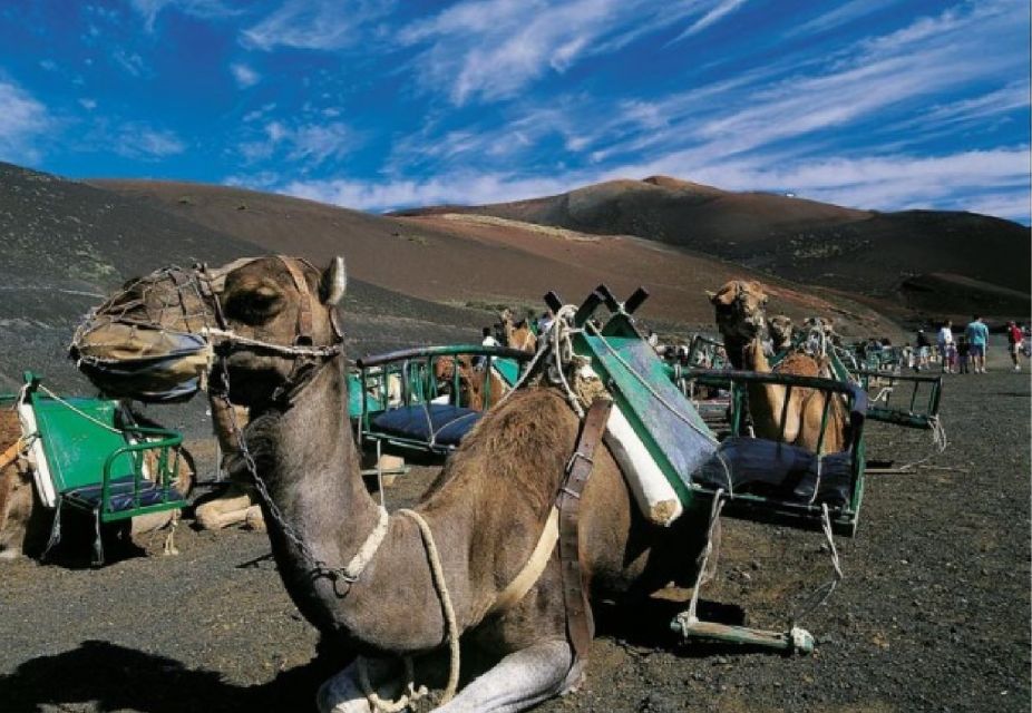 Lanzarote: Day Tour for Cruise Passengers - Green Lagoon: The Final Visual Payoff Before You Return