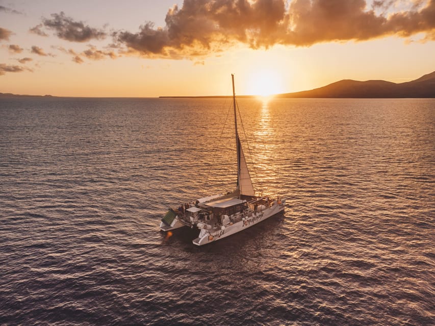 Lanzarote: Dolphin-Watching Sunset Cruise with Transfers - Transfers with Lineas Romero: easy enough if you read the pickup rules