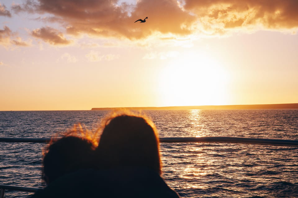Lanzarote: Dolphin-Watching Sunset Cruise with Transfers - The onboard vibe: mojito welcome, snacks, and a relaxed rhythm
