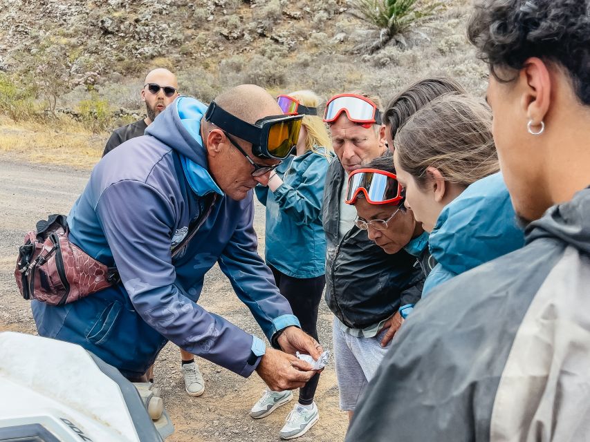 Lanzarote: Guided Off-Road Volcano Buggy Tour - Why northern Lanzarote on a buggy feels more real