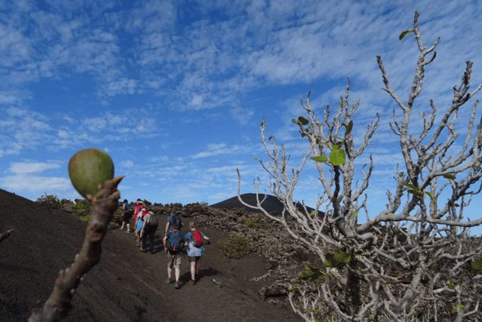 Lanzarote: Hike Across Timanfaya's Volcanic Landscapes - Who this tour suits best (and who should think twice)