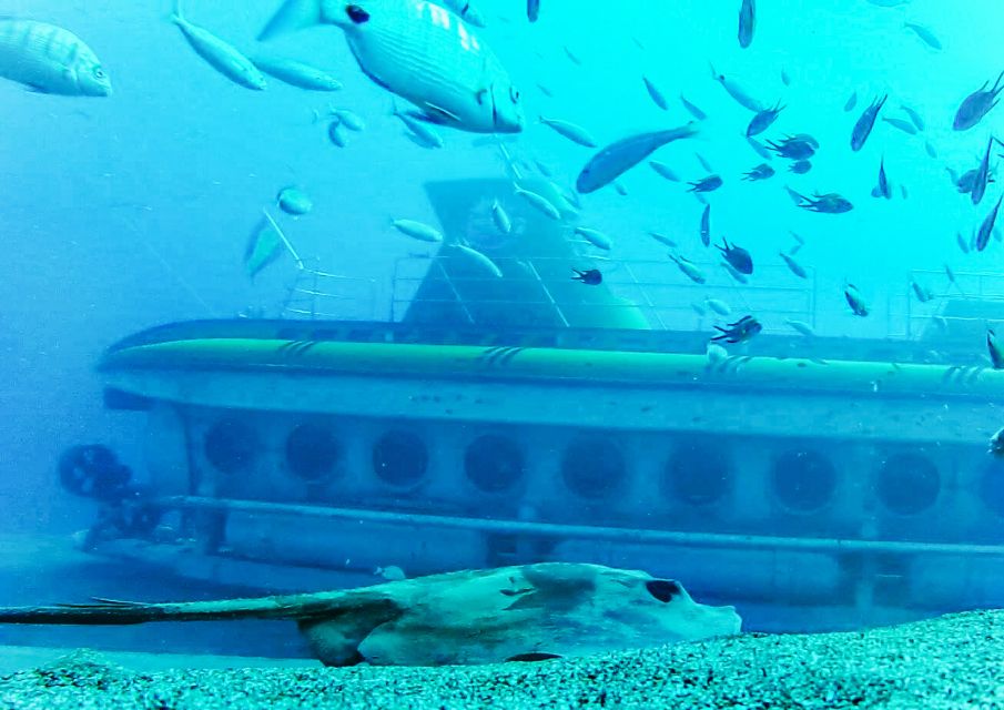 Lanzarote: Real Submarine Dive with Hotel Pickup - Who should book this submarine ride in Lanzarote