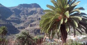 Las Palmas: 8-Hour Gran Canaria Island Highlights Tour - Bandama Volcano: The Extinct Crater Stop That Sets the Tone