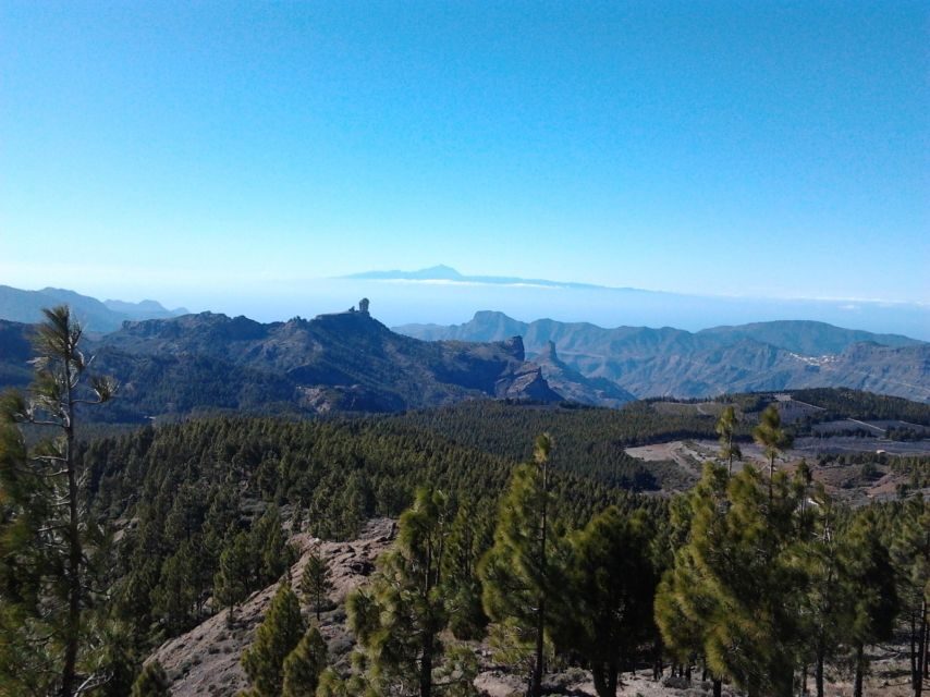 Las Palmas: 8-Hour Gran Canaria Island Highlights Tour - San Bartolomé: Mountain Village Life and a Free Ethnographic Museum