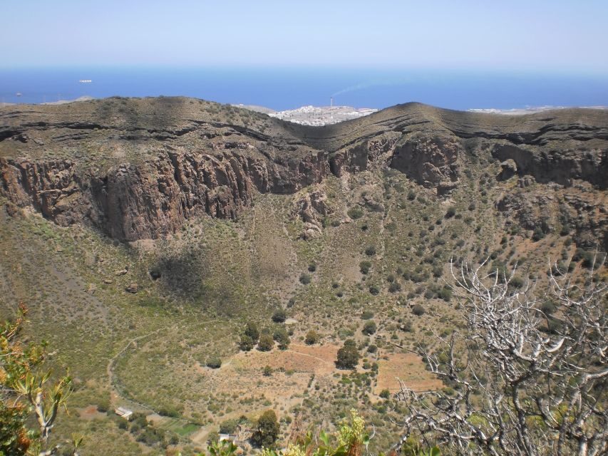 Las Palmas: 8-Hour Gran Canaria Island Highlights Tour - Price and Value: Why $54 Feels Fair for a Cross-Island Day