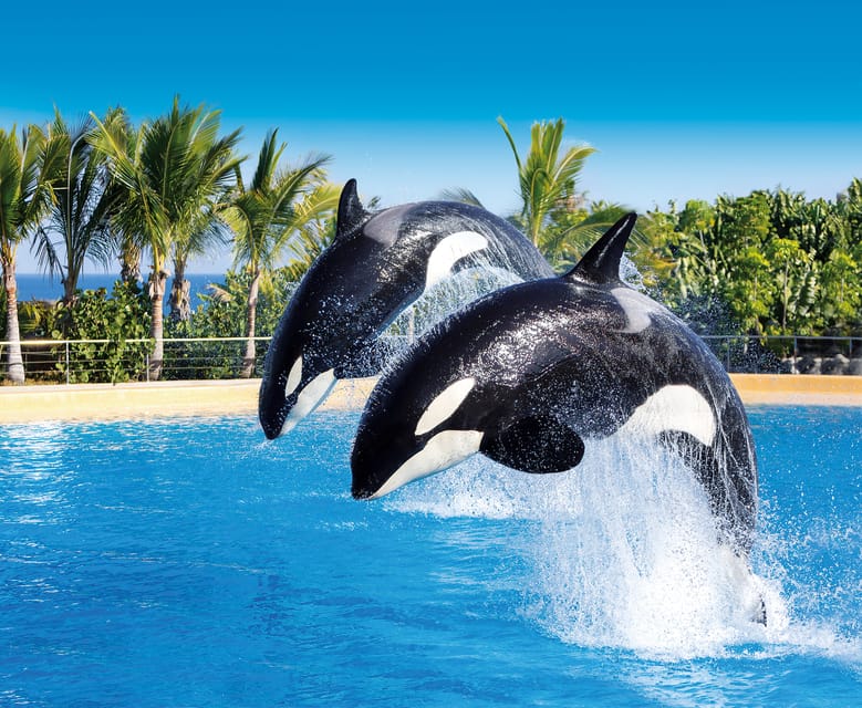 Loro Parque and Siam Park Combined Admission Tickets - Why Loro Parque + Siam Park Makes Sense on Tenerife